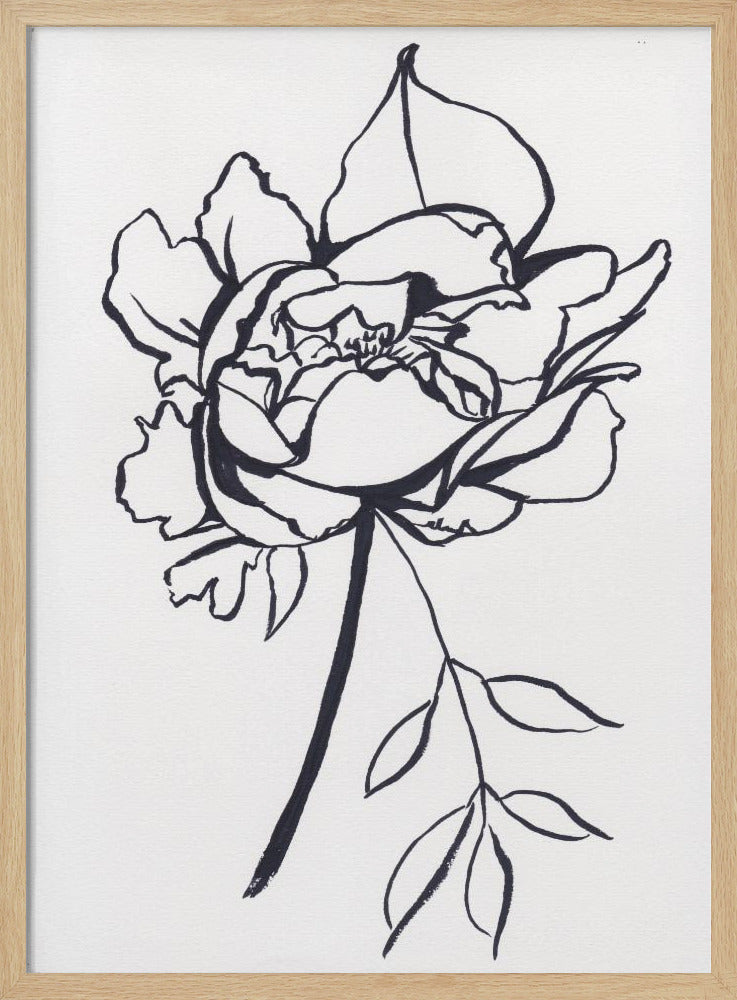 Black and White Peony Small | Poster