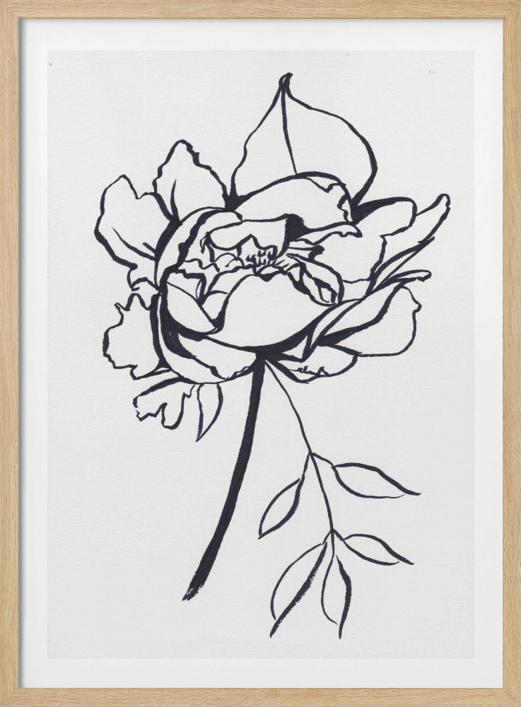 Black and White Peony Small | Poster