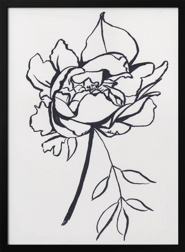 Black and White Peony | Poster