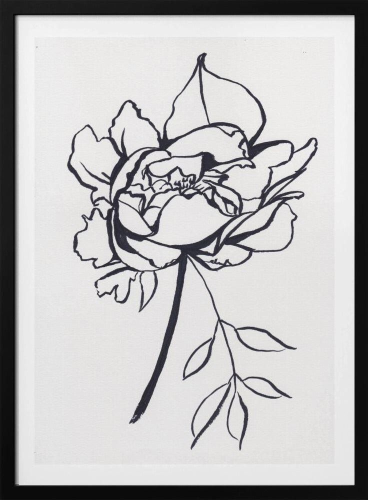 Black and White Peony | Poster
