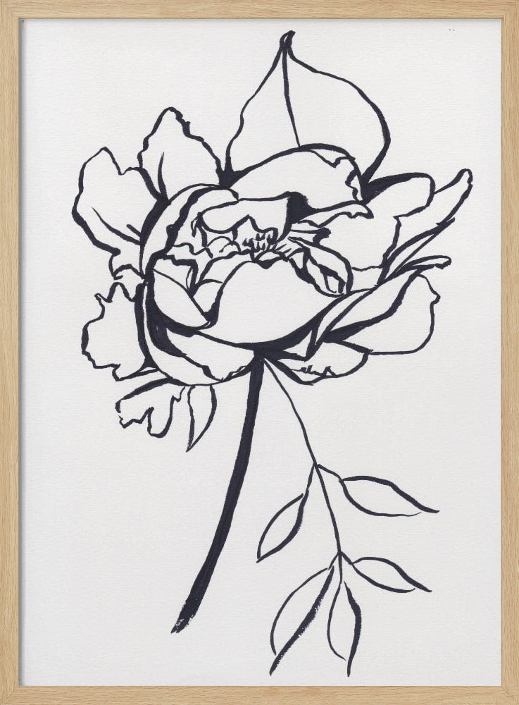 Black and White Peony | Poster
