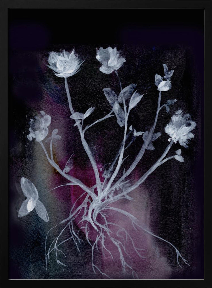 Secret Garden Ii | Poster