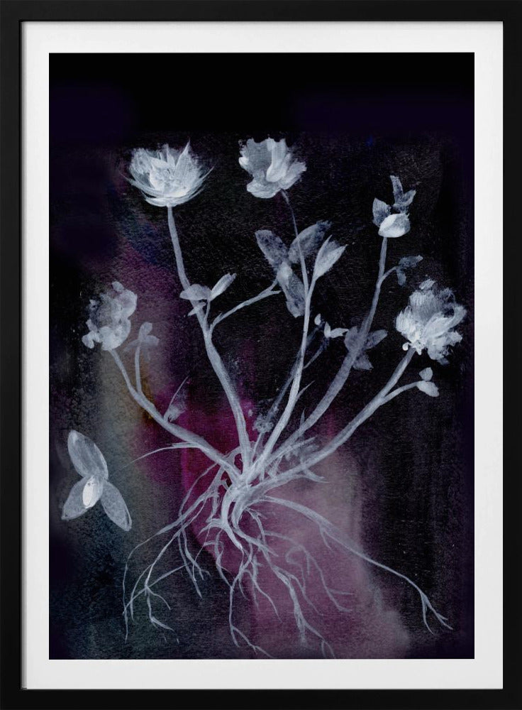 Secret Garden Ii | Poster