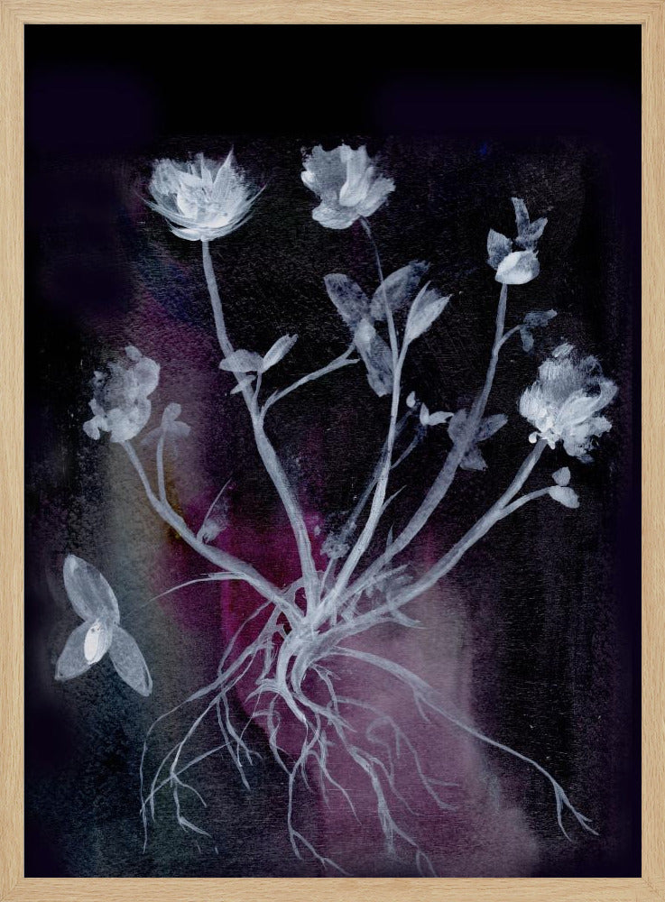 Secret Garden Ii | Poster