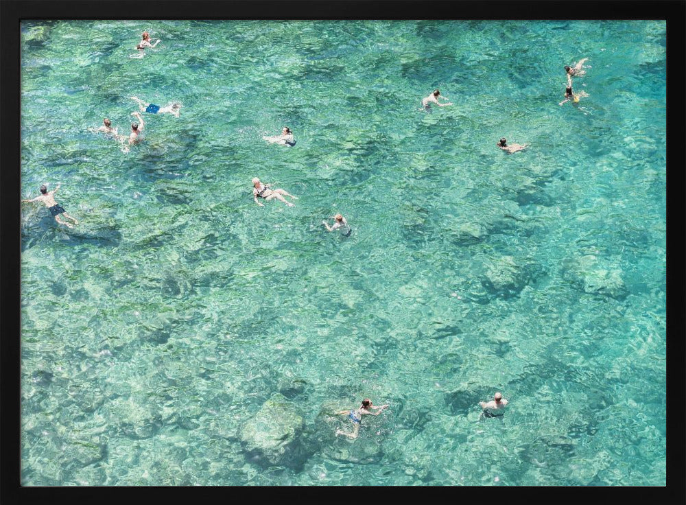 Swimming in the sea | Poster