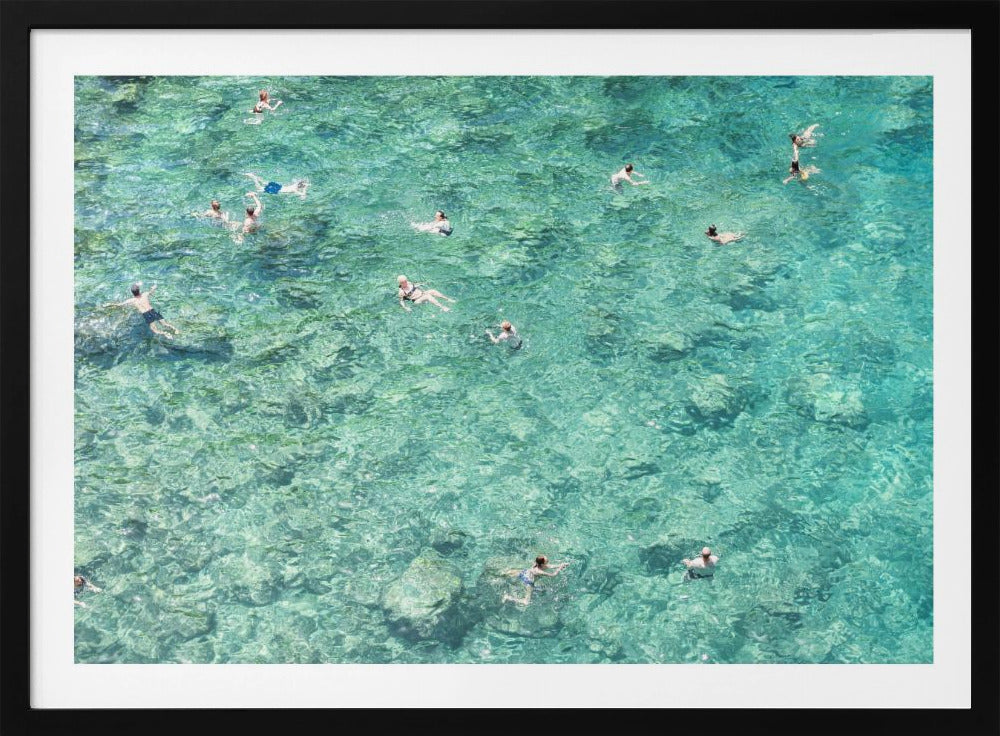 Swimming in the sea | Poster
