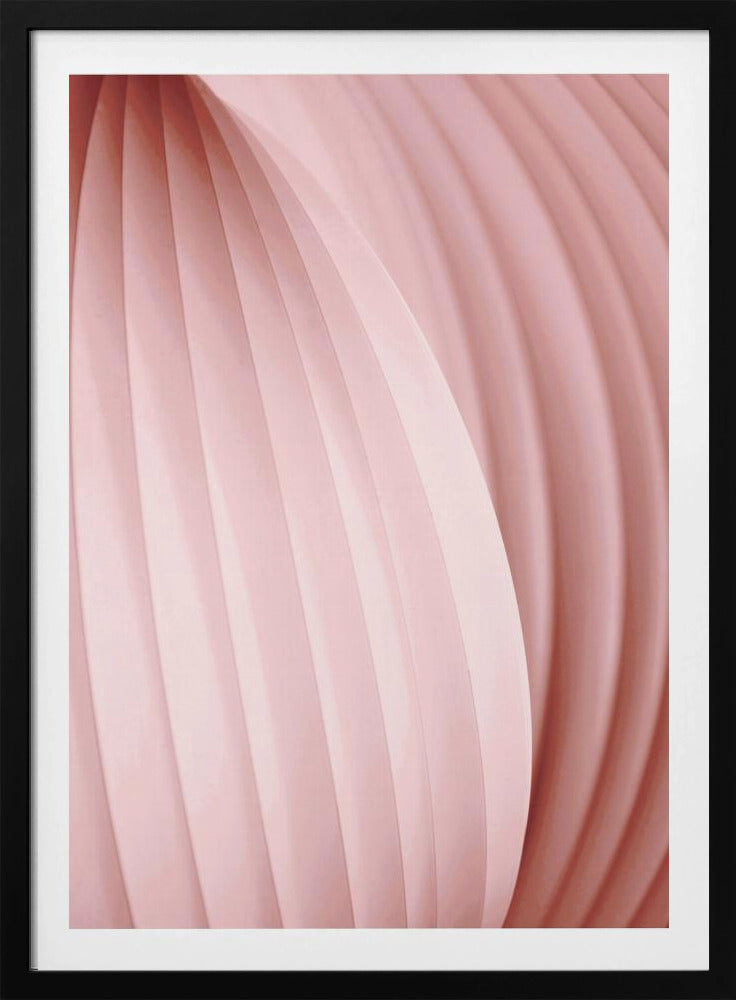 Peach Pink | Poster