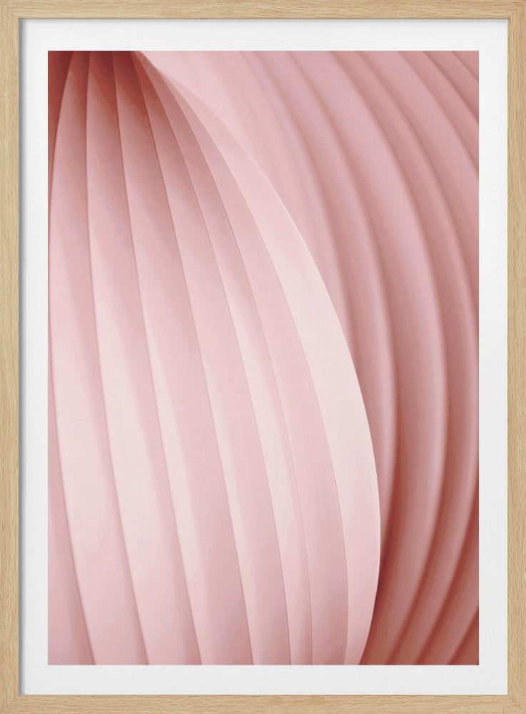 Peach Pink | Poster