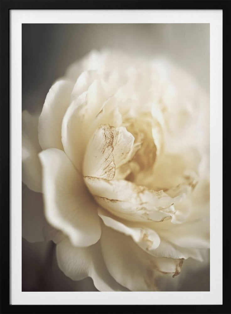 Ethereal Bloom | Poster