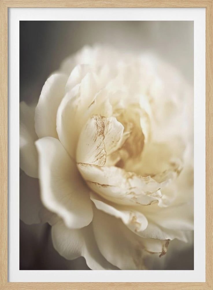 Ethereal Bloom | Poster