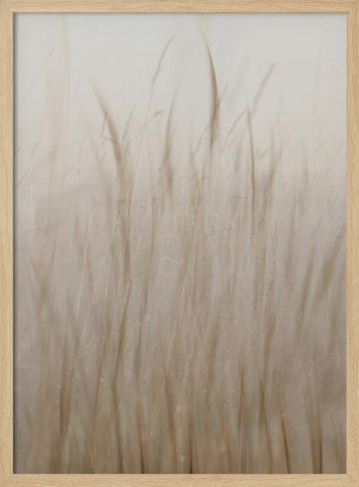 Meadow grass | Poster