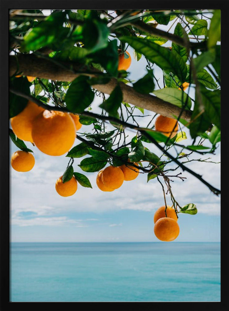 Amalfi Coast Oranges IV | Poster