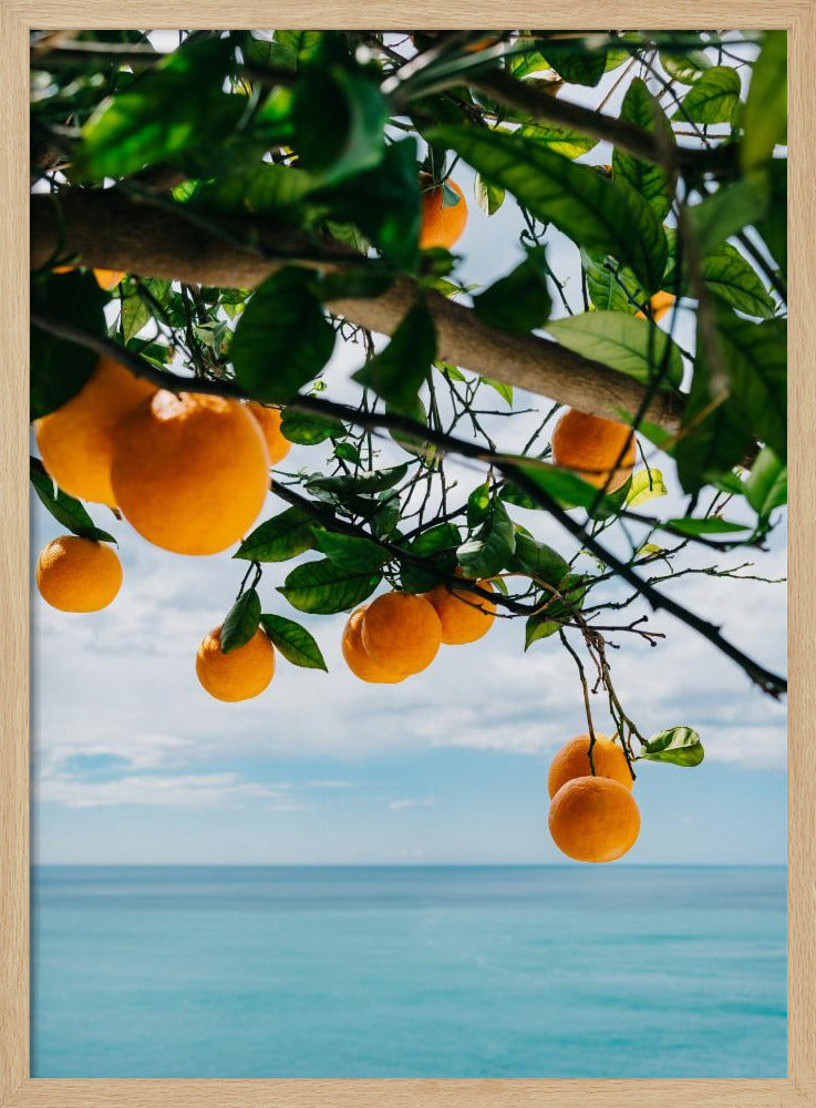 Amalfi Coast Oranges IV | Poster