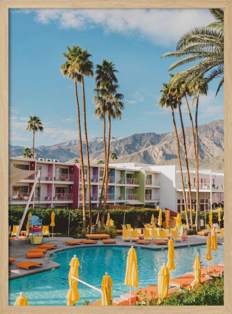 Palm Springs Saguaro | Poster