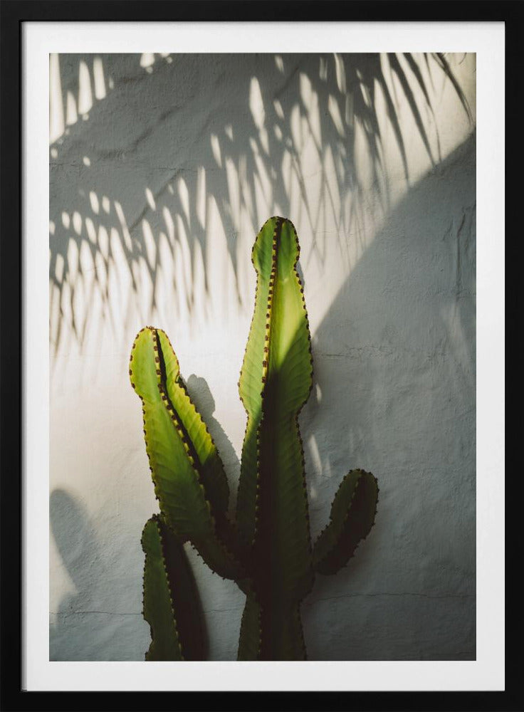 Socal Shadows | Poster