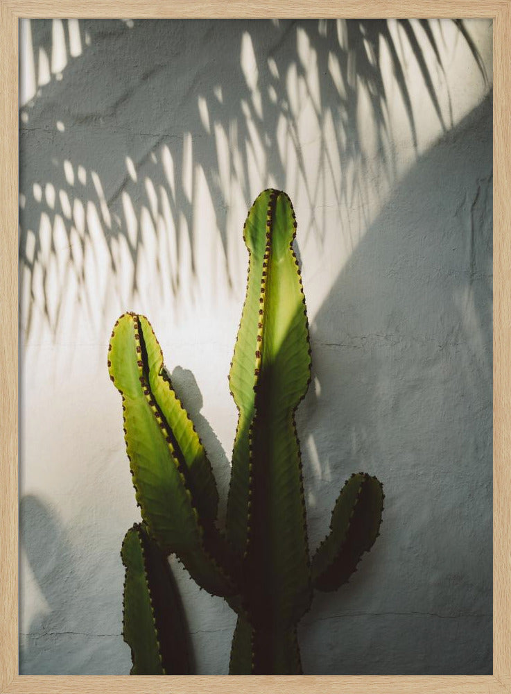 Socal Shadows | Poster