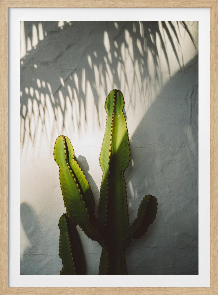 Socal Shadows | Poster