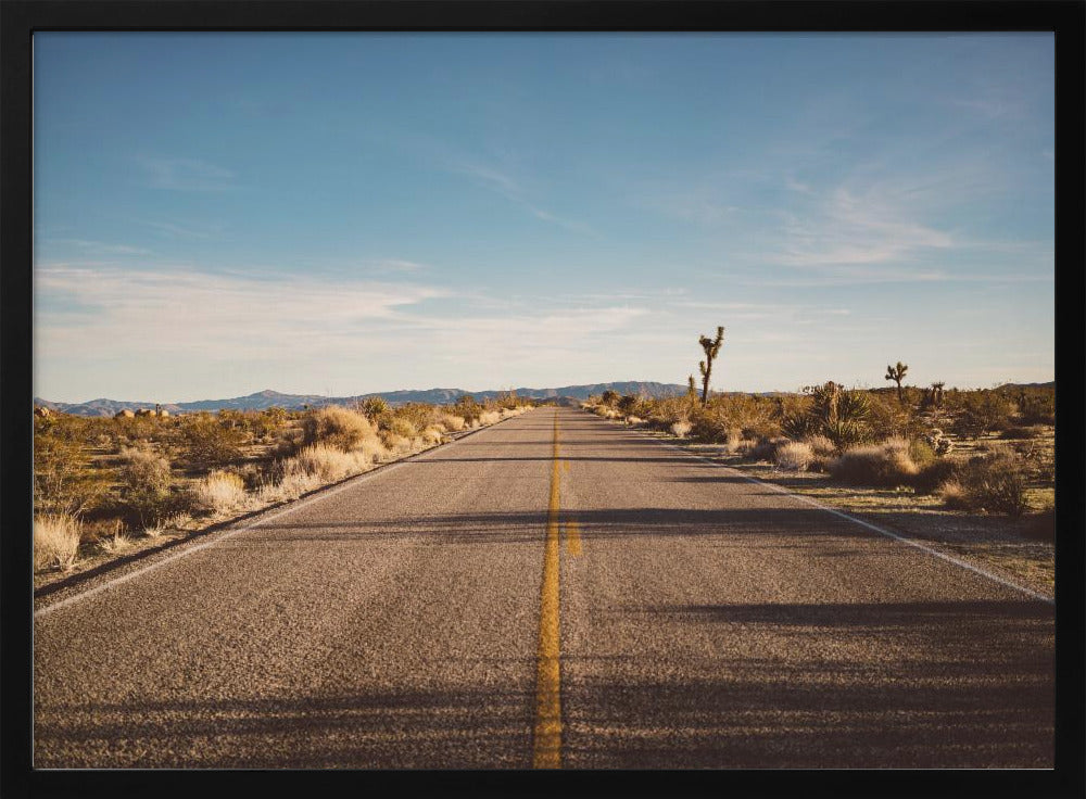 Joshua Tree Road | Poster