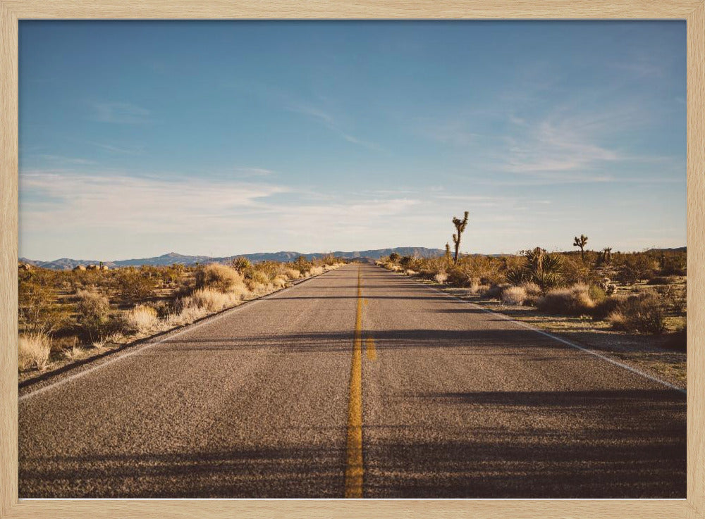 Joshua Tree Road | Poster