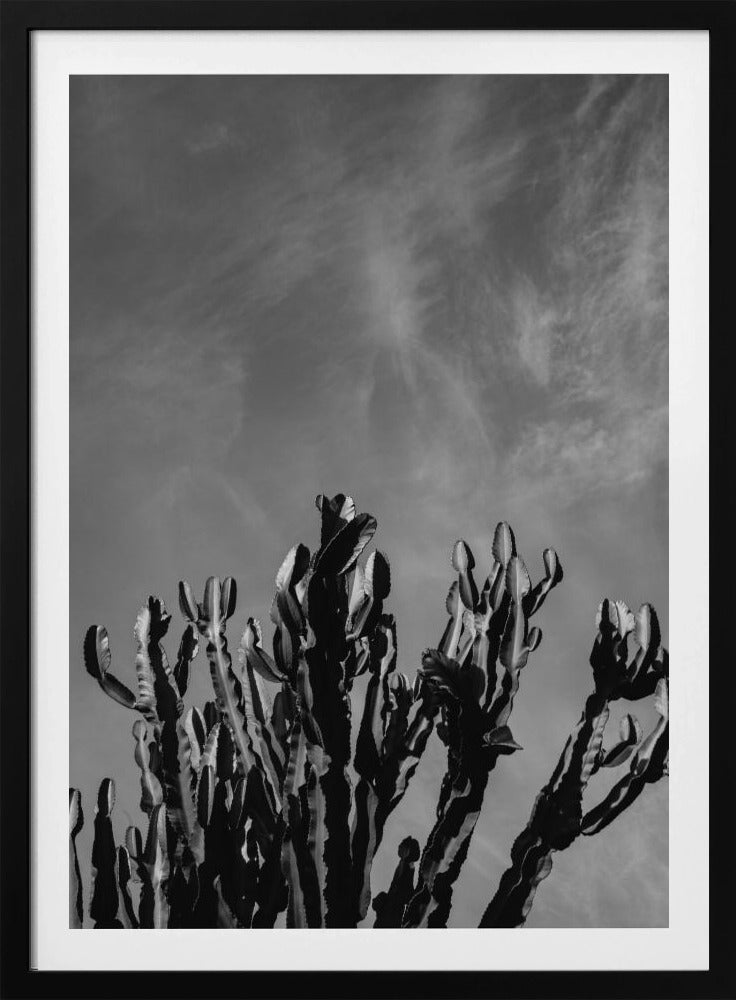 Monochrome Cactus Sky | Poster
