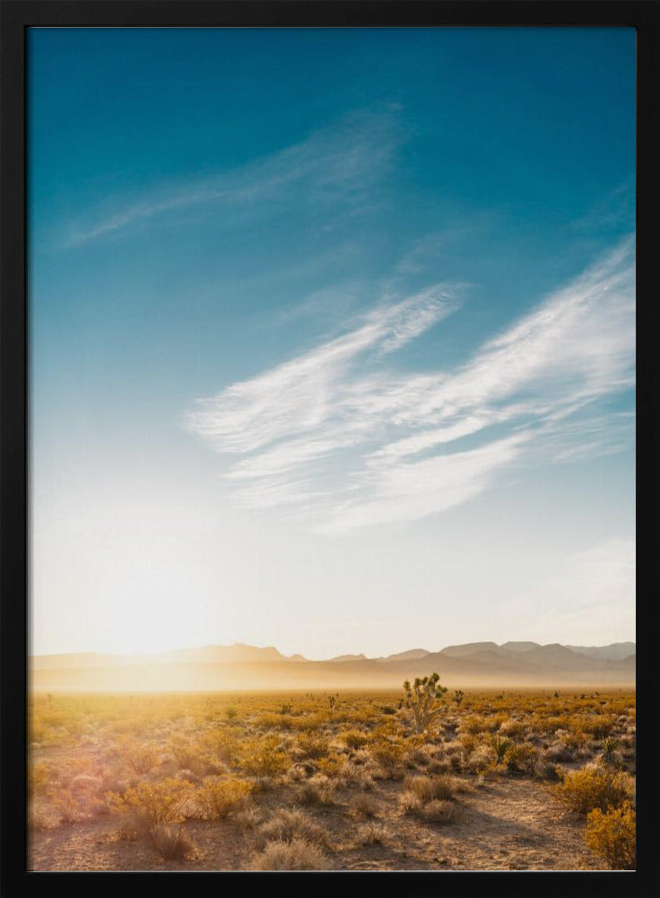 Nevada Desert Sunrise | Poster