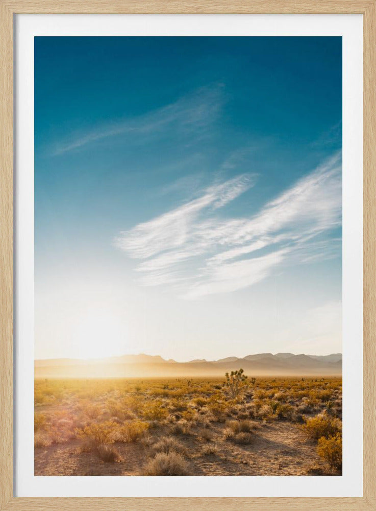 Nevada Desert Sunrise | Poster