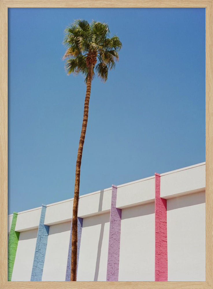Palm Springs II | Poster