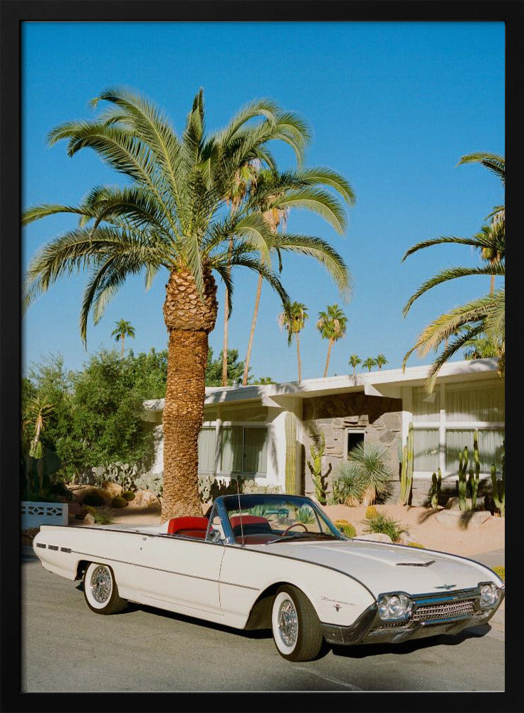 Palm Springs Thunderbird | Poster