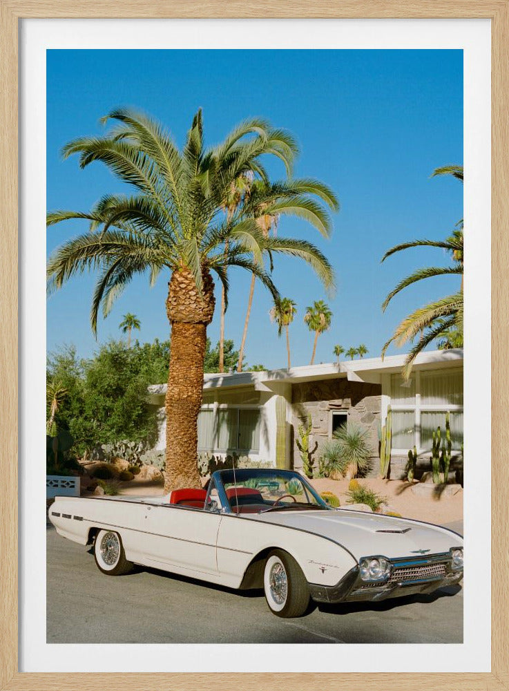 Palm Springs Thunderbird | Poster