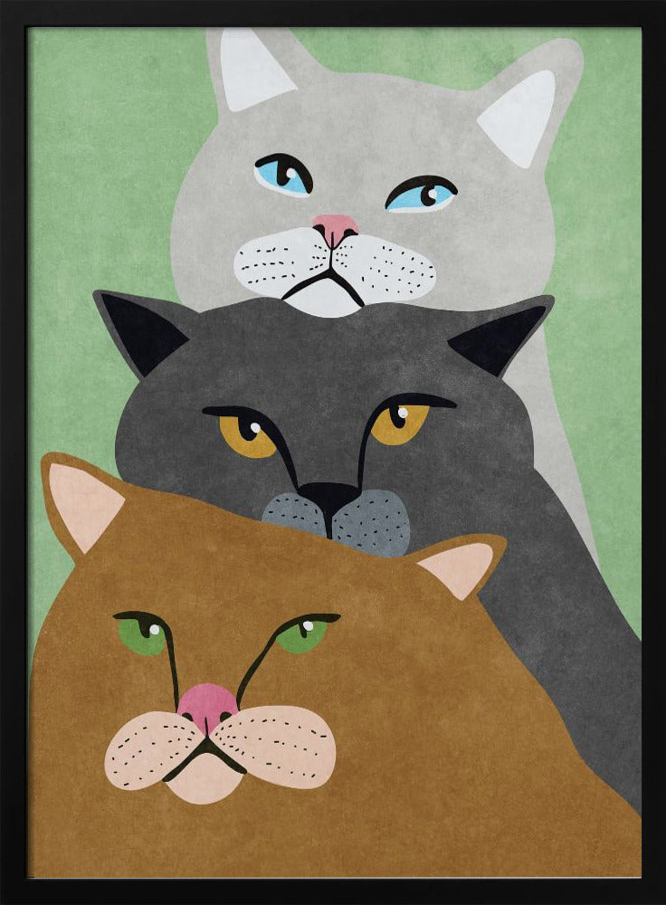 Cat Trio | Poster