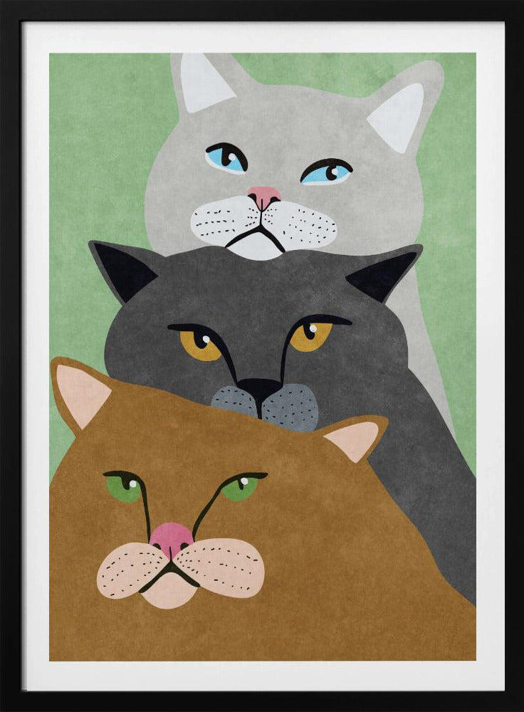 Cat Trio | Poster
