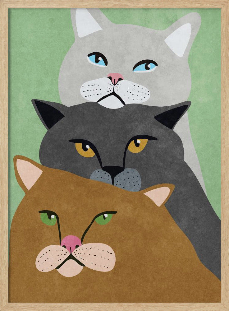 Cat Trio | Poster