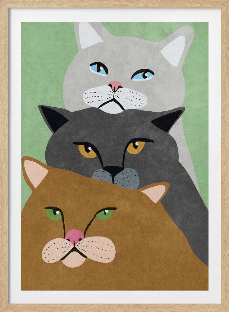 Cat Trio | Poster
