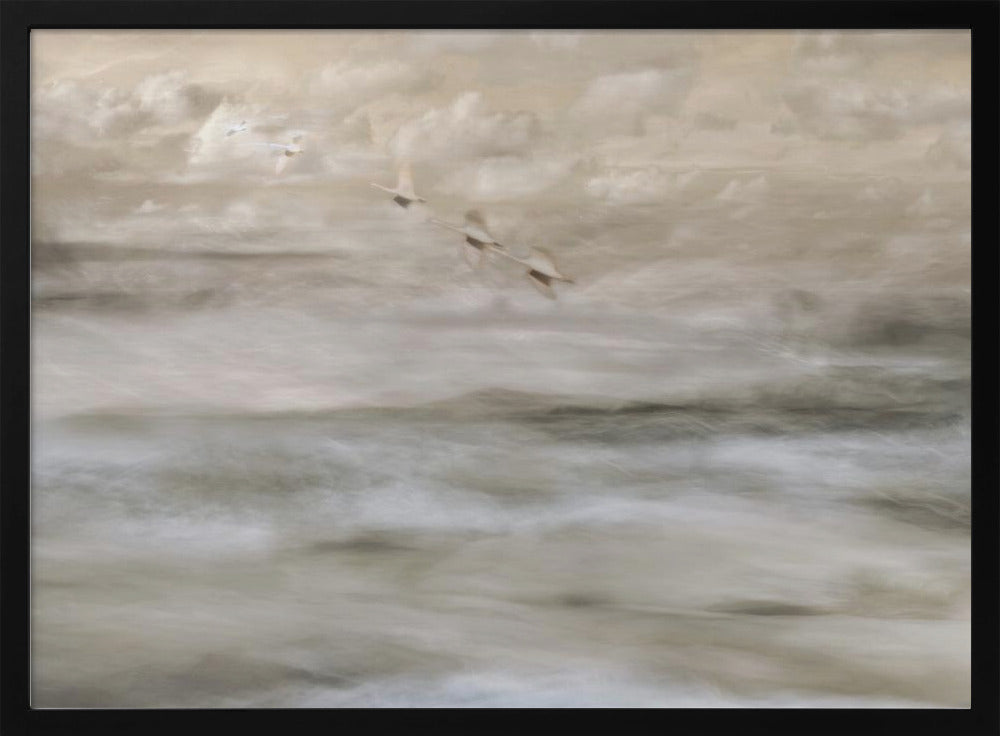 Swans over sea | Poster