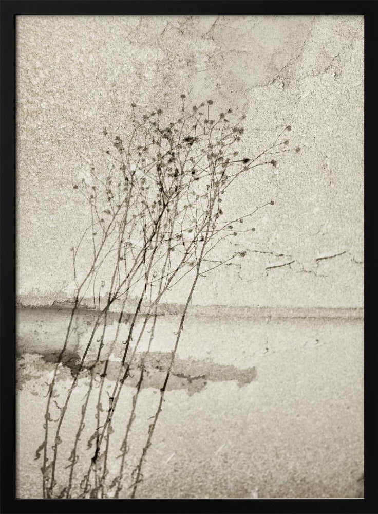 On the concrete | Poster