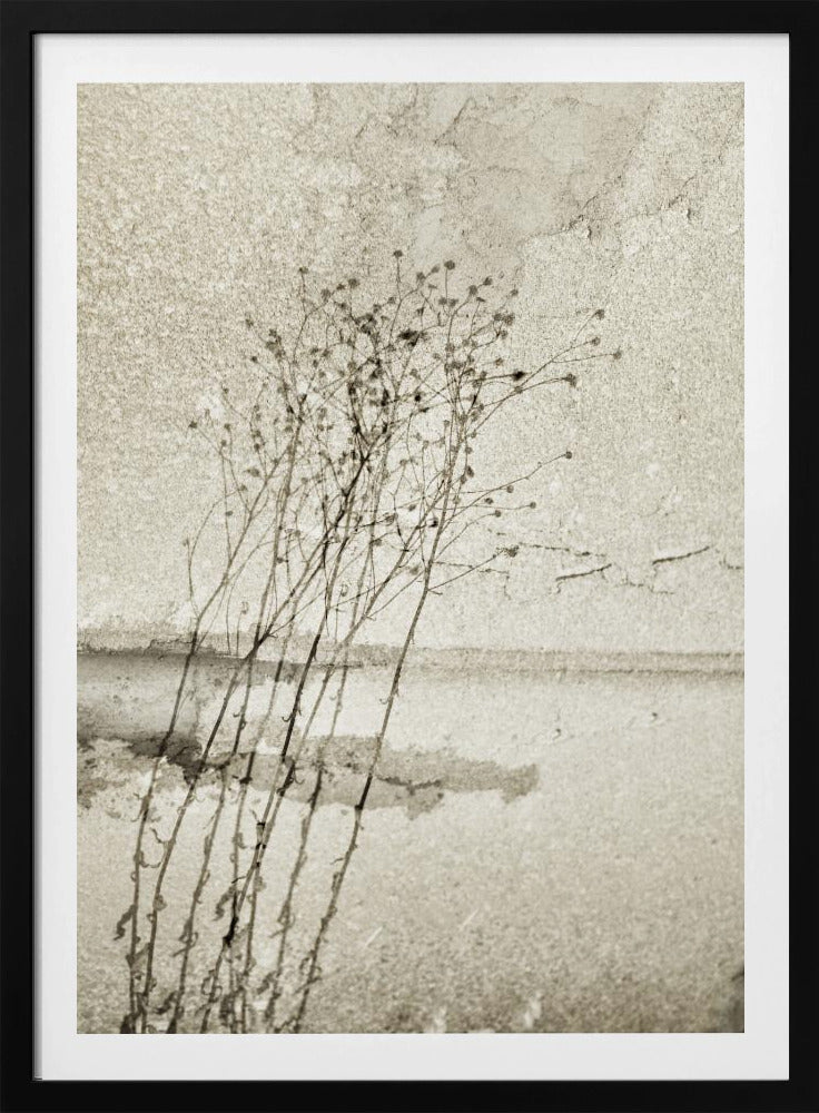 On the concrete | Poster