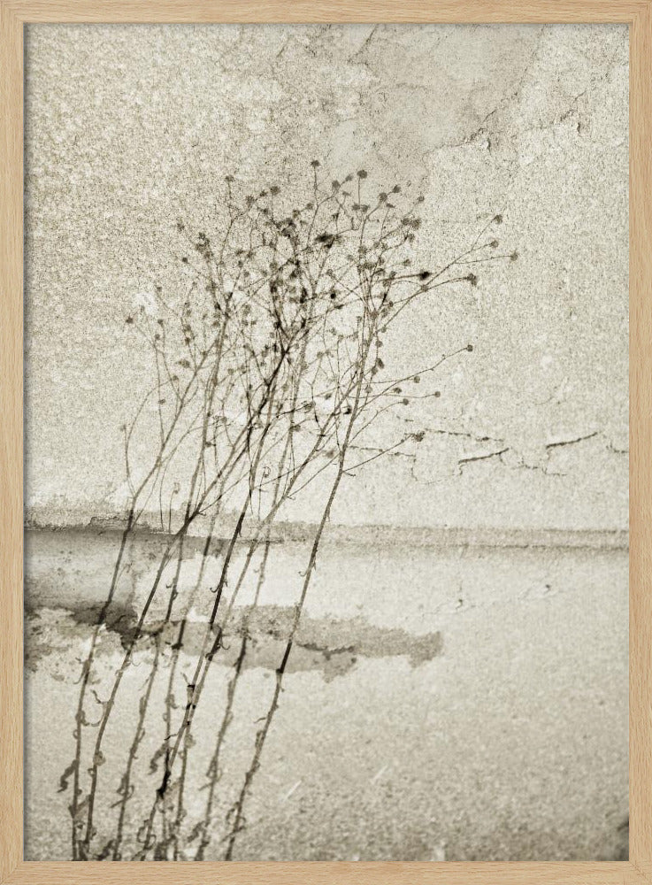 On the concrete | Poster