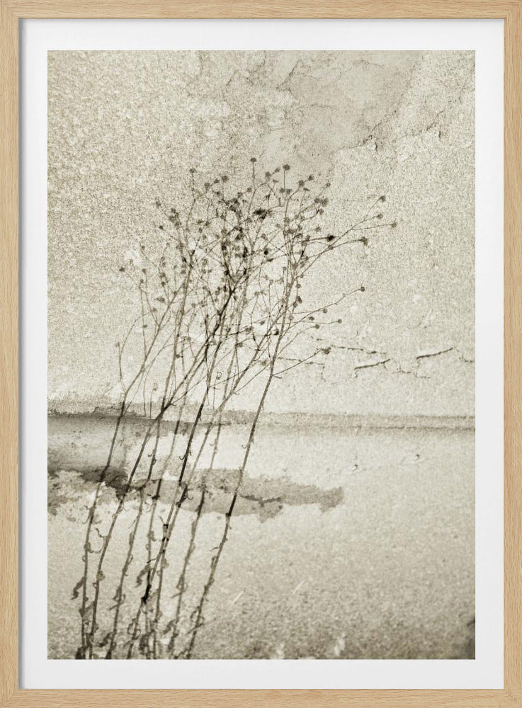 On the concrete | Poster