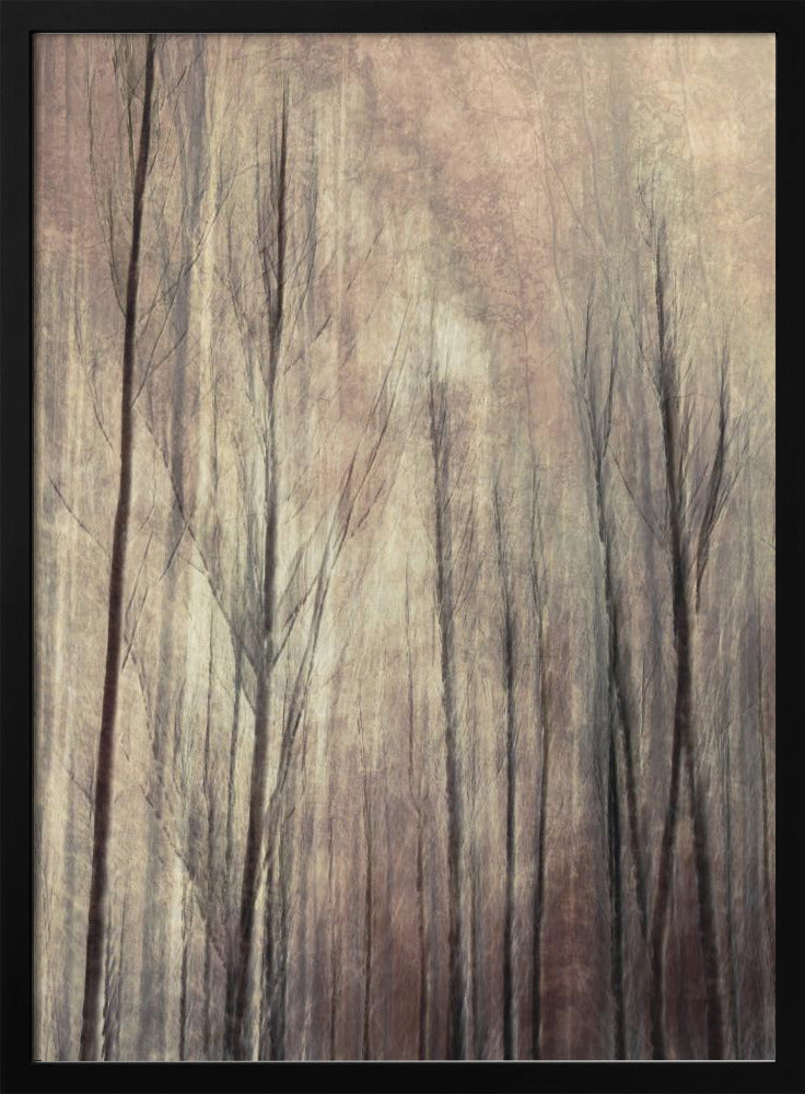 Fall forest | Poster