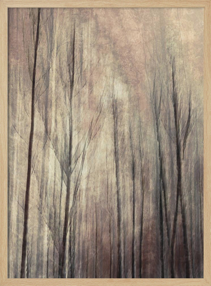 Fall forest | Poster