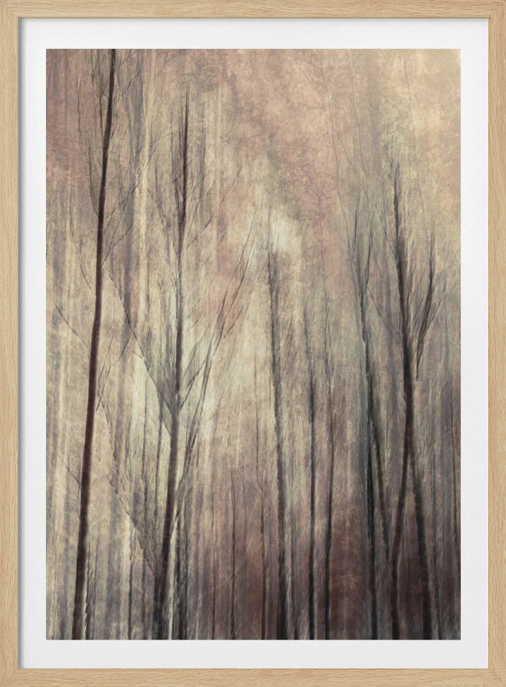 Fall forest | Poster