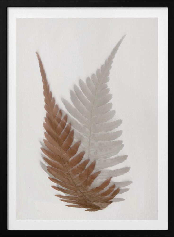 Autumn Fern | Poster