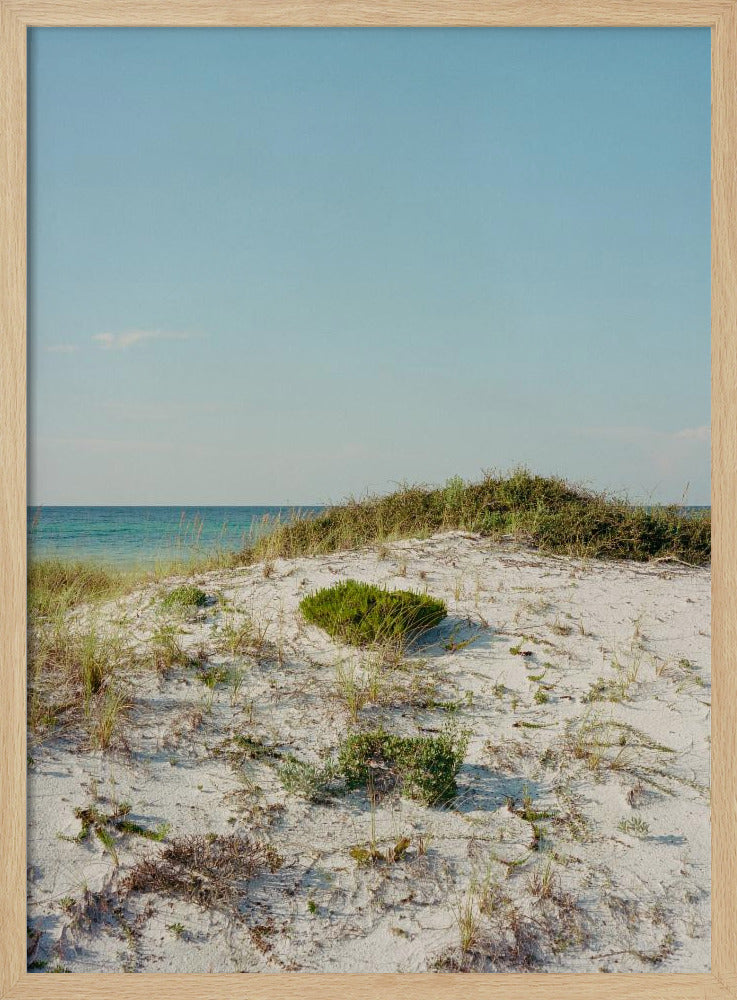 30a Dunes II | Poster