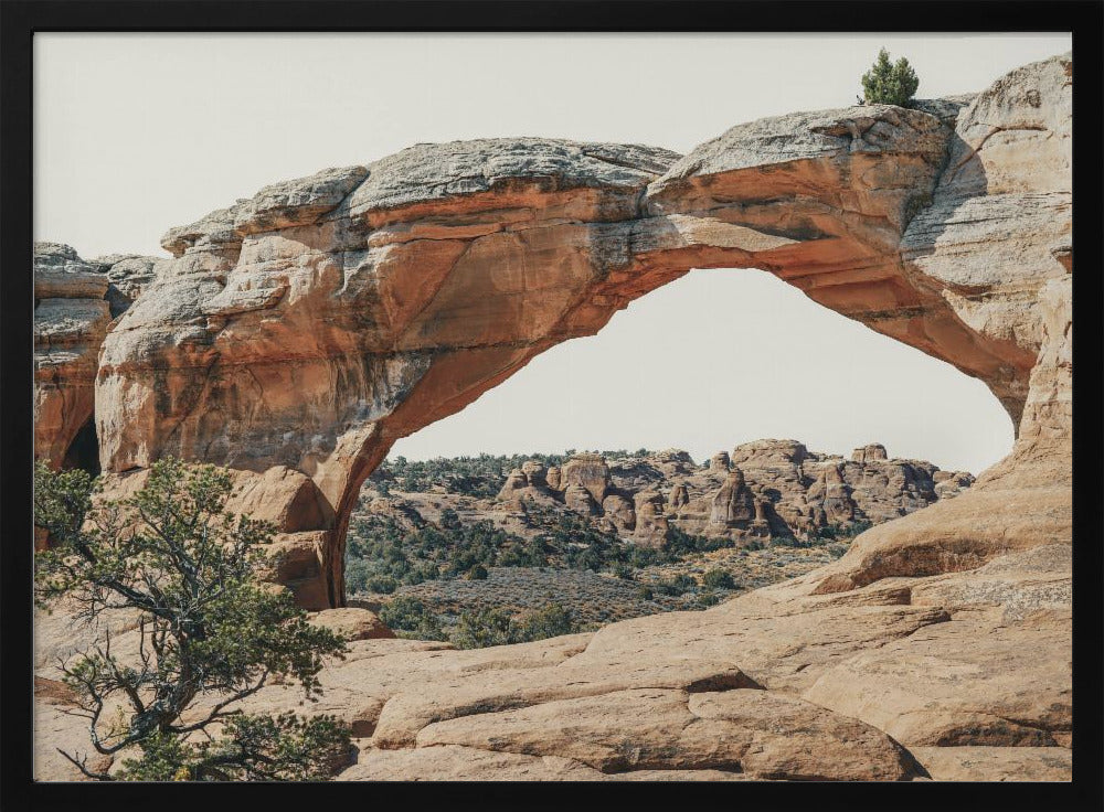 View to the West | Poster