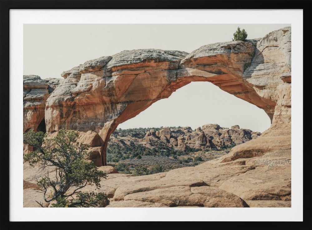 View to the West | Poster