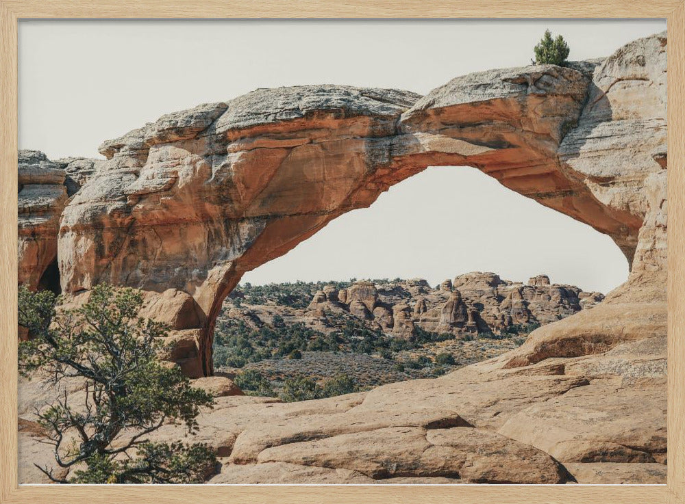 View to the West | Poster