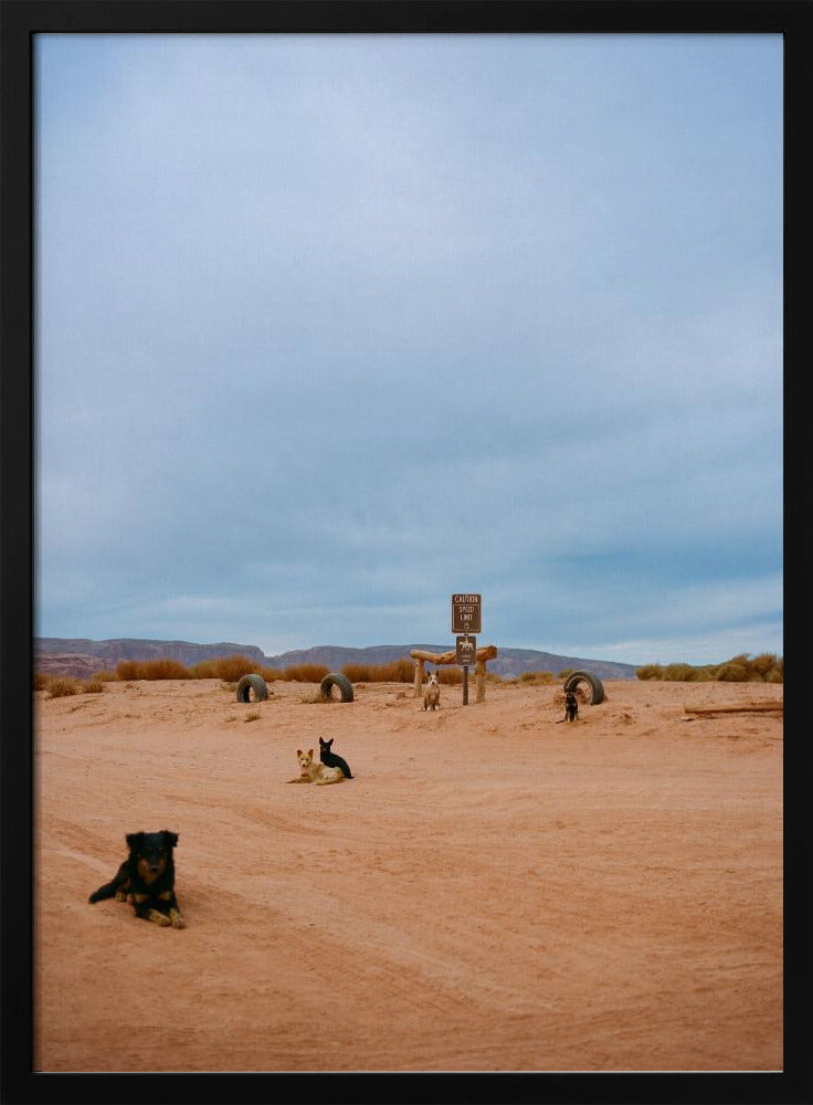 Monument Valley VIII | Poster