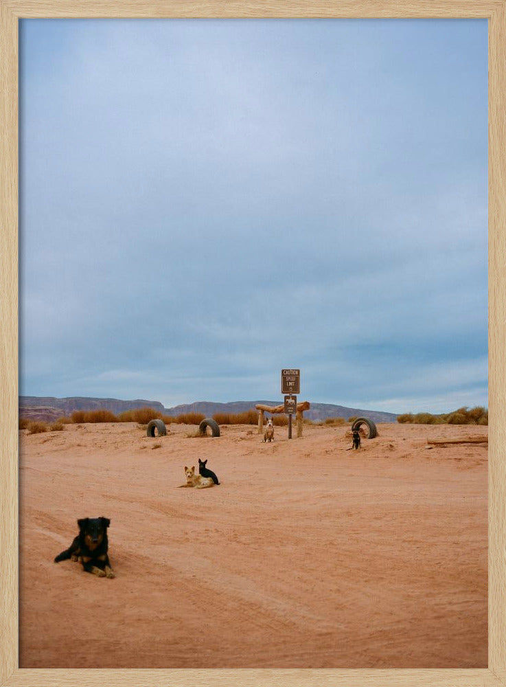 Monument Valley VIII | Poster