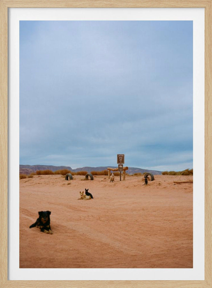 Monument Valley VIII | Poster