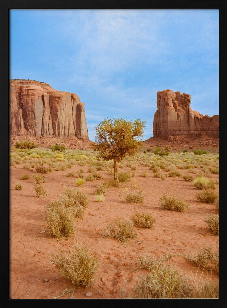 Monument Valley X | Poster